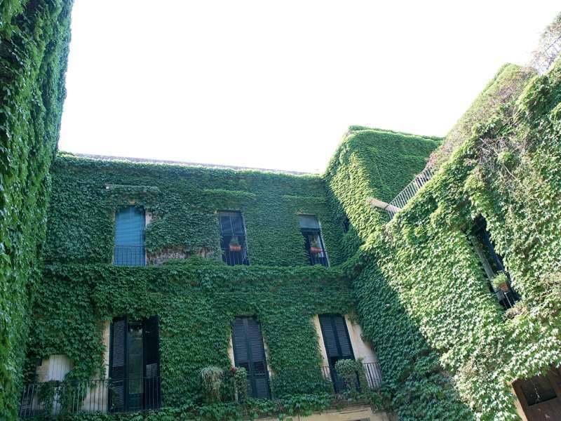 Palazzo Rollo Bed & Breakfast Lecce